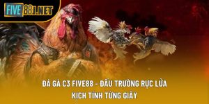 Đá Gà C3 Five88 - Đấu Trường Rực Lửa, Kịch Tính Từng Giây