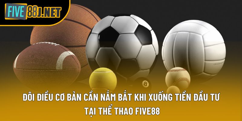 Đôi điều cơ bản cần nắm bắt khi xuống tiền đầu tư tại thể thao Five88
