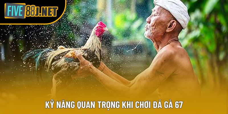 Kỹ năng quan trọng khi chơi đá gà 67 Kỹ năng quan trọng khi chơi đá gà 67