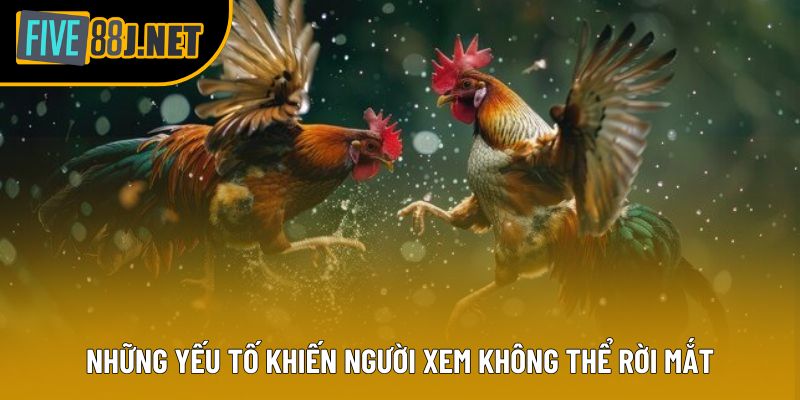 Những yếu tố khiến người xem không thể rời mắt