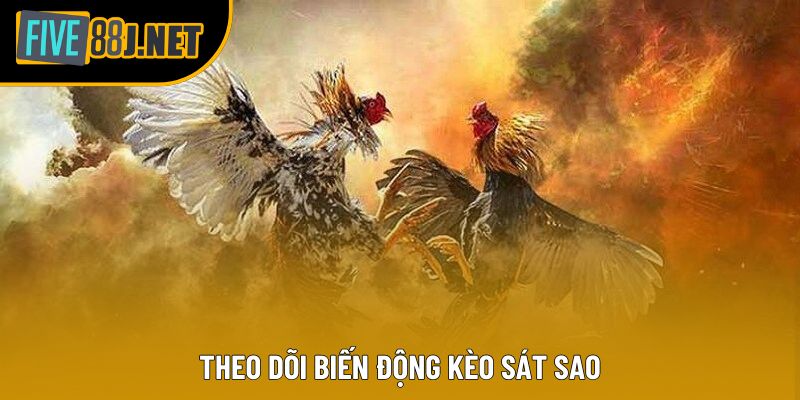 Theo dõi biến động kèo sát sao