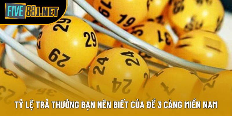 Tỷ lệ trả thưởng bạn nên biết của Đề 3 Càng Miền Nam Tỷ lệ trả thưởng bạn nên biết của Đề 3 Càng Miền Nam